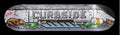 Curbside Skateboard Curb deck
